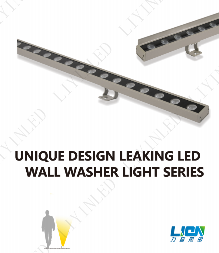 Unique design leaking led wall washer light LY-XQ-1010