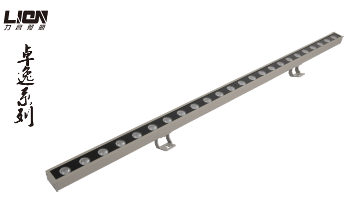 Unique design leaking led wall washer light LY-XQ-1010