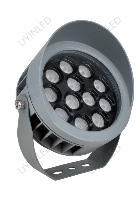 Die-cast aluminum engineering landscape architecture IP65 outdoor Led Flood Light LY-TG-3020