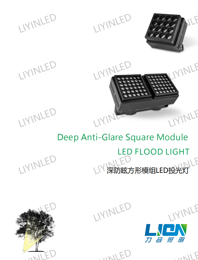 IP66 Engineering popular Outdoor Deep Anti-Glare Square Module Led Flood Lights LY-TG-3003