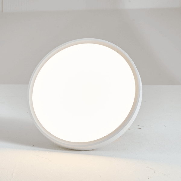 LED flush mount ceiling light