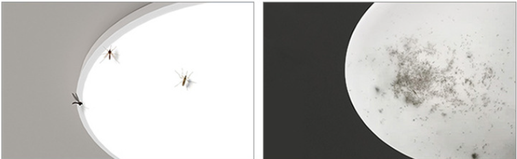 Corrosion-proof Lights