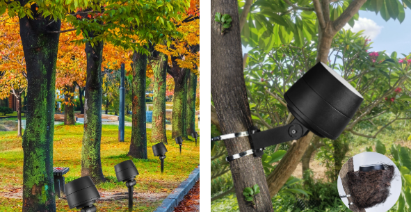 The 10 Best Low Voltage LED Flood Lights for Outdoor Landscapes in 2026