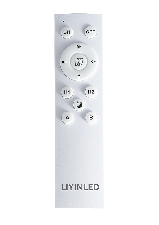 LED Ceiling Light