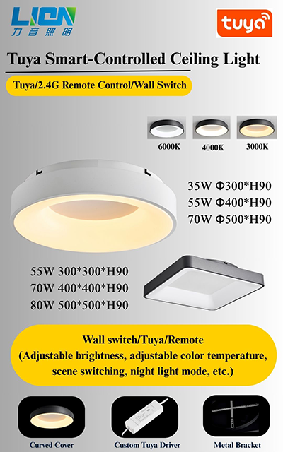 LED Ceiling Light