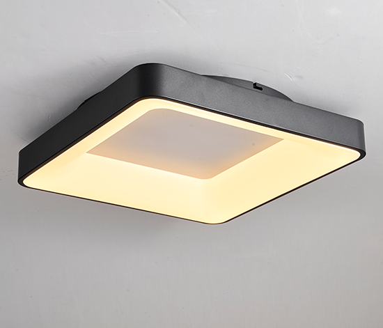 Smart Ceiling Lamp with 2.4G Remote & Tuya App Control Smart Ceiling Lamp with 2.4G Remote & Tuya App Control
