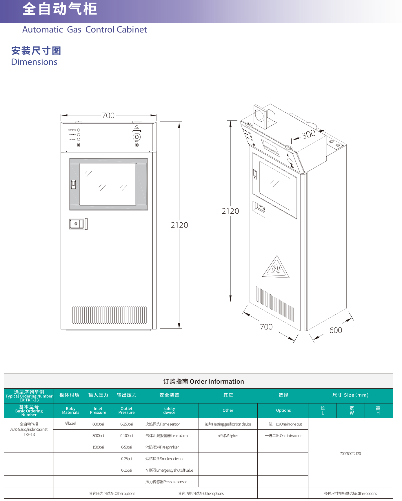 intelligent gas cabinet