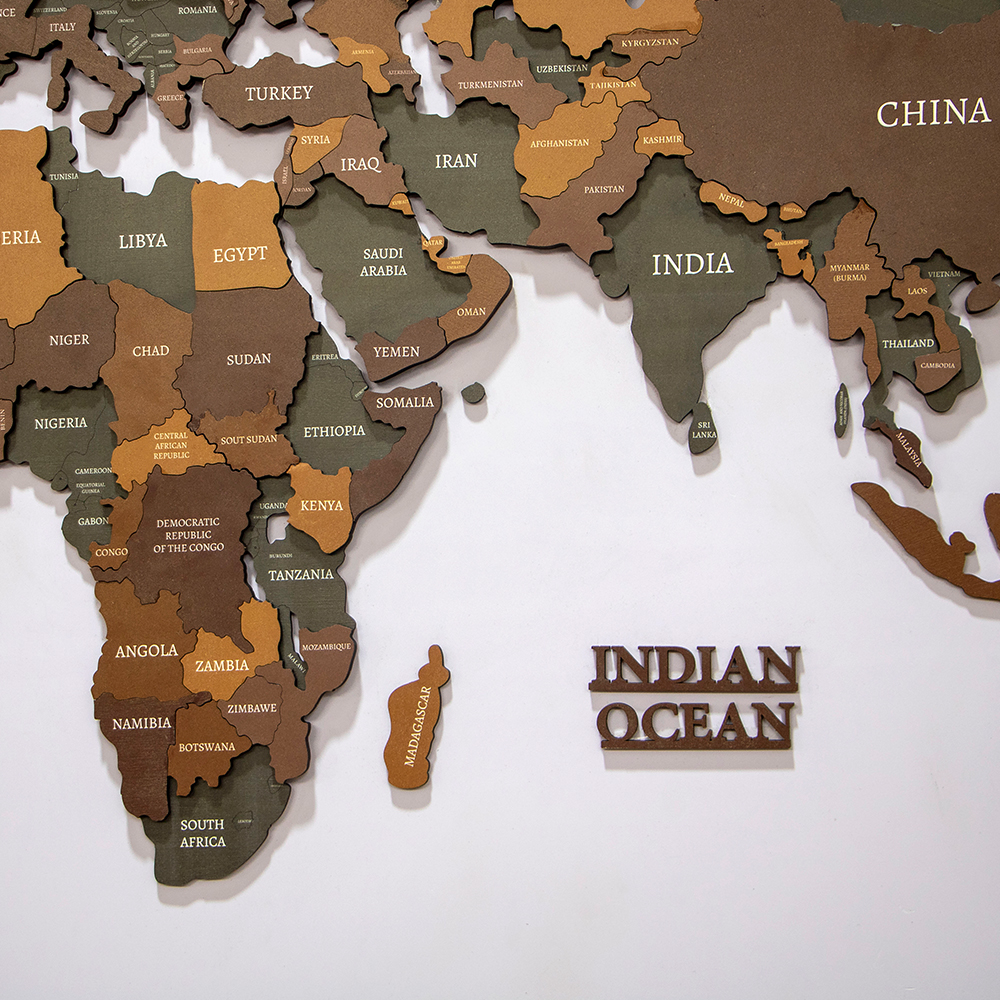 wooden Travel Push Pin Map