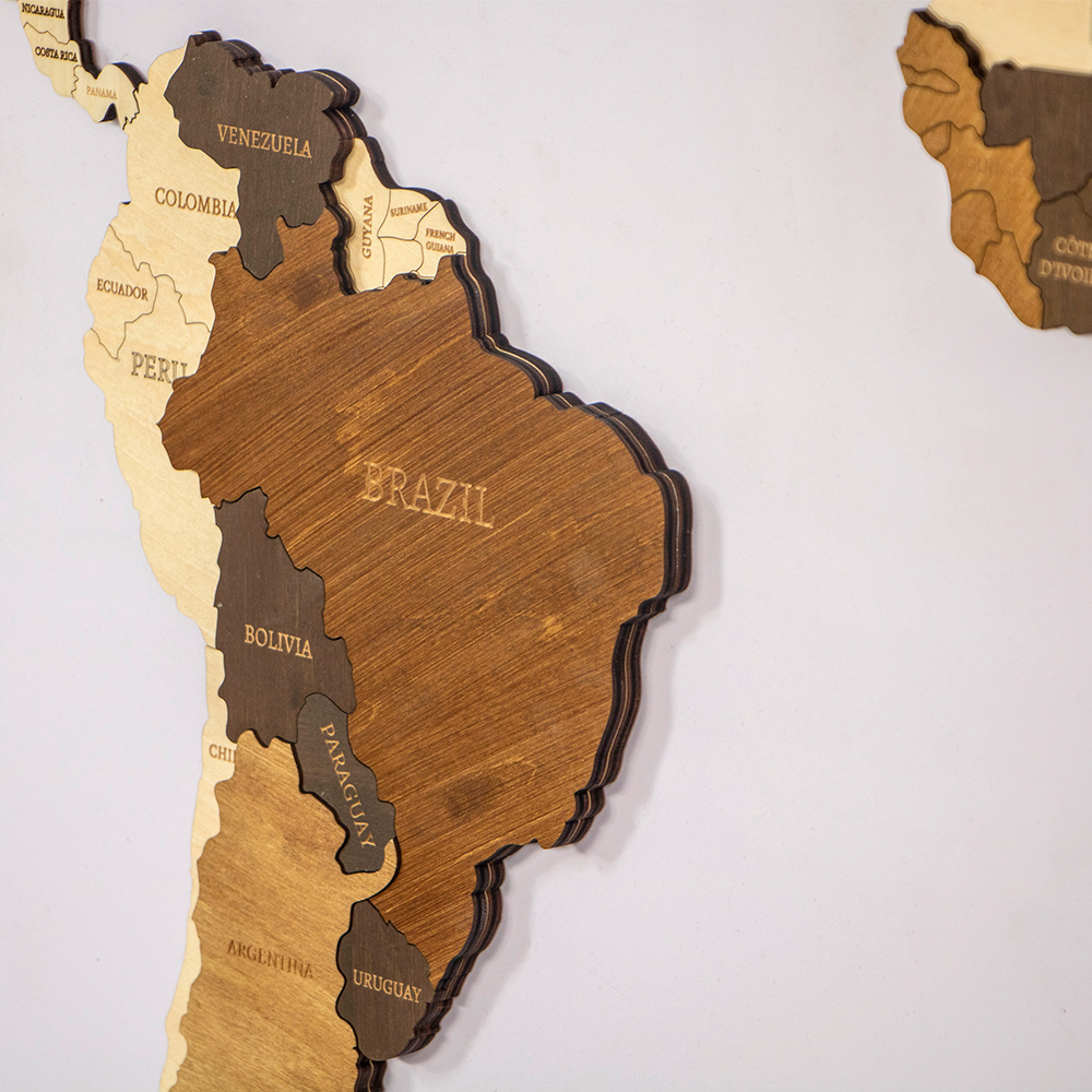 wooden Travel Push Pin Map