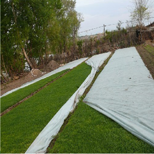 Non Woven Landscape Fabric Roll Packing For Garden Plant Protection