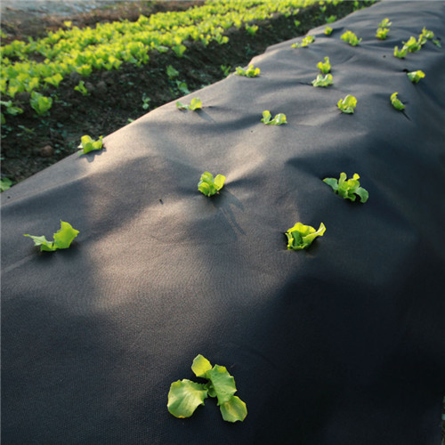 91cm Width Weed Control Cloth