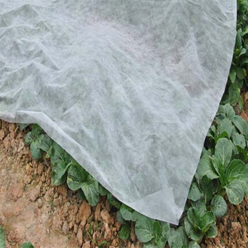 Horticulture Vegetable Garden Weed Barrier Fabric Anti Uv