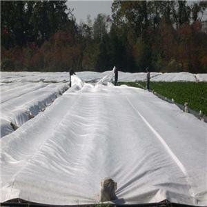 Horticulture Vegetable Garden Weed Barrier Fabric Anti UV