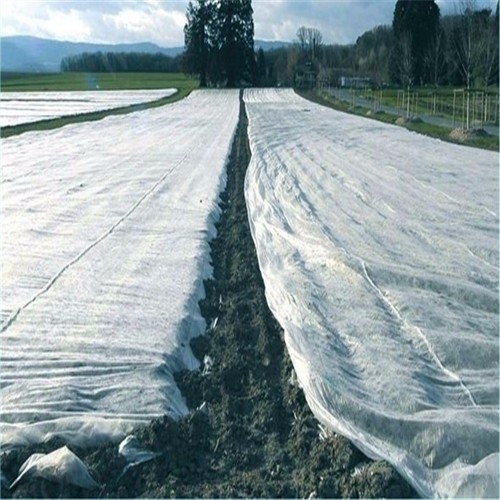 Extra Wide Frost Protection Nonwoven Fabric