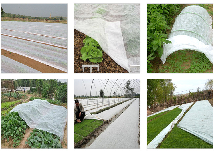 Tnt Nonwoven Crop Protective Covers