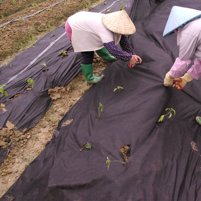 Agriculture PP Nonwoven Weed Mat Control Fabric Garden black color Garden Landscape Fabric