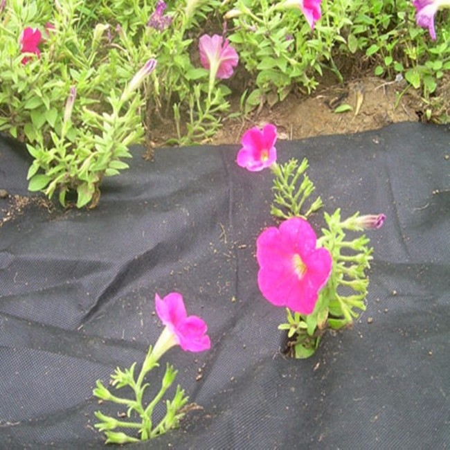 PP non woven weed barrier fabric /breathable landscape fabric