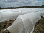 agriculture nonwoven fabric