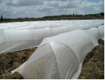 non-woven fabric for agriculture