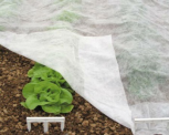 non-woven fabric for agriculture