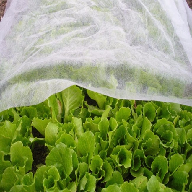 Anti-aging frost protection non-woven fabric for agriculture / plant covers