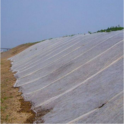 10g~160g 3%UV Biodegradable agriculture nonwoven fabric