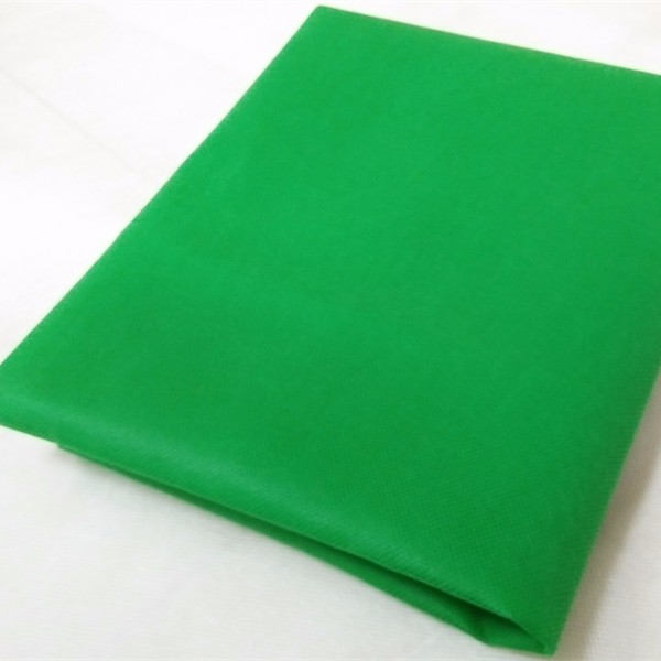 China PP Spunbond Non Woven Factory