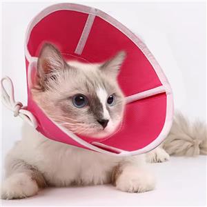 OEM wholesale Pet collar cat dog soft and adjustable neck collar Elizabethan collar