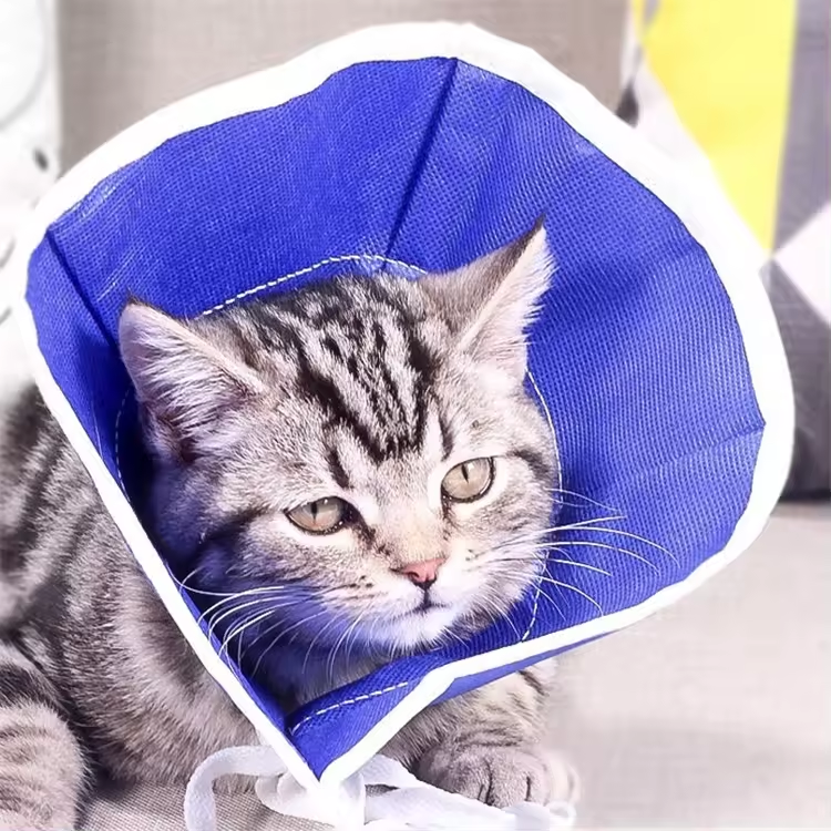 Pet Protective Circle Nonwoven Anti-bite Cat Collar Soft Recovery Collar After Surgery Pet Elizabethan Collar
