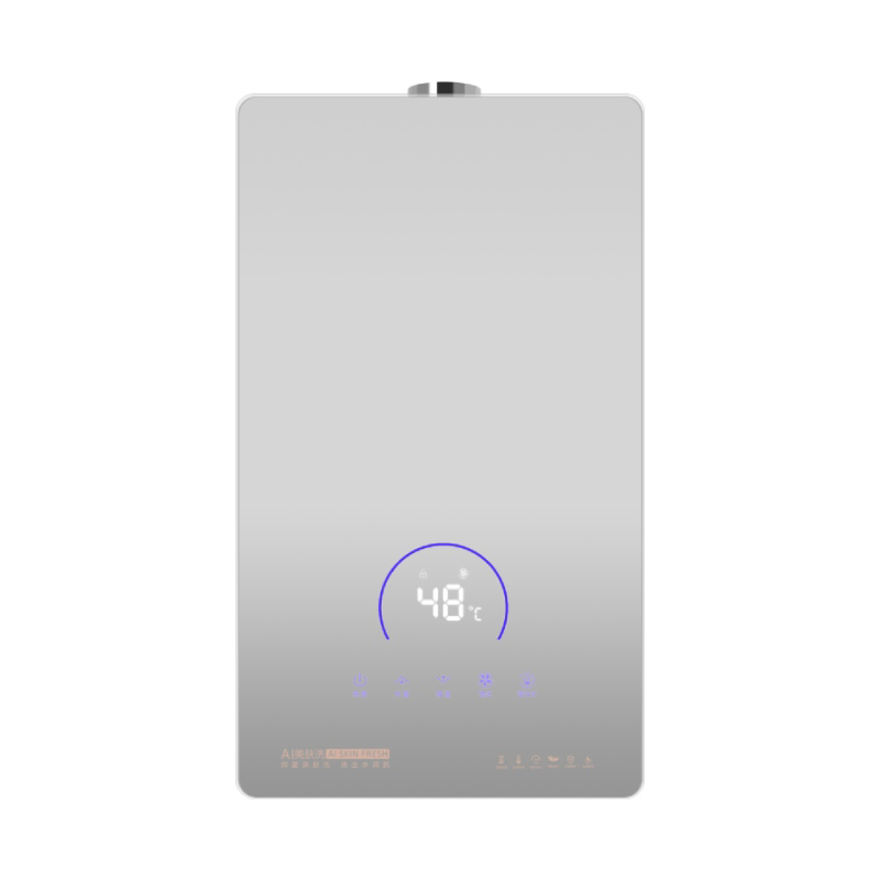 Household Instant Digital Temperature Control Gas Water Heater For Bathtub