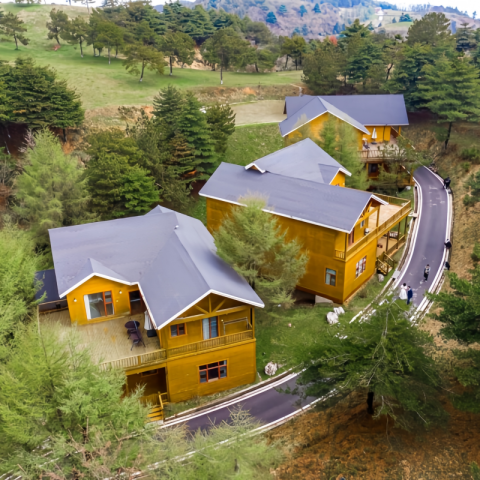 Wooden House Villa Eco steel houses