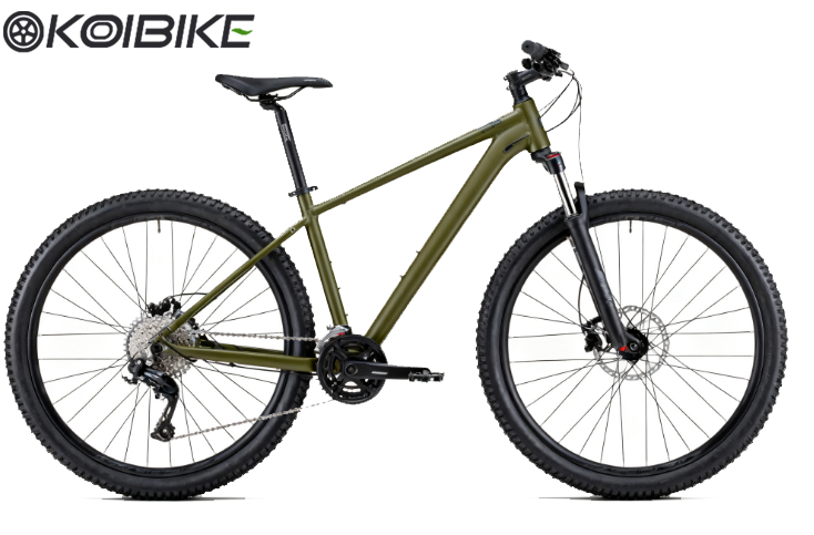 MTB rim