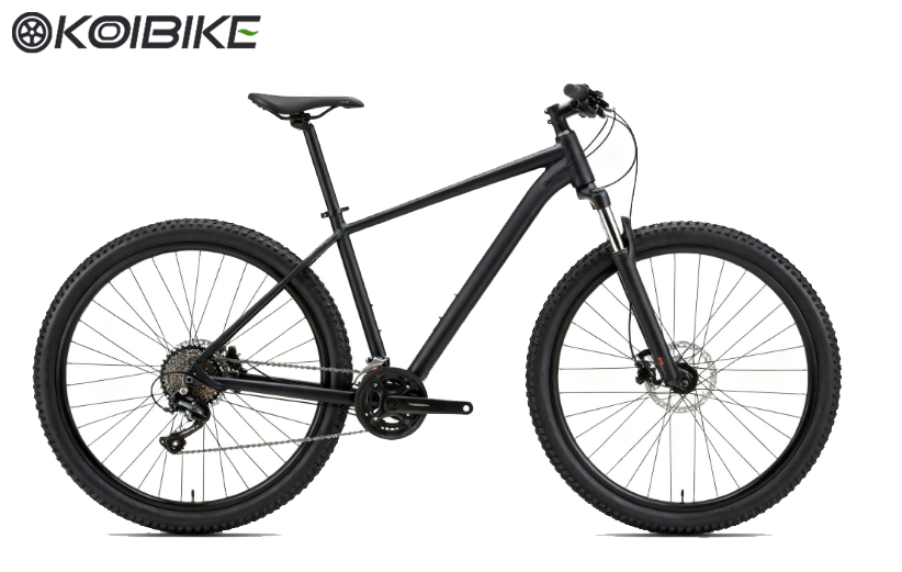 bike rim