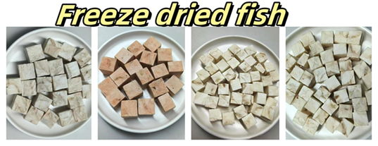 Alternative vapor trap freeze dryer Alternative vapor trap freeze dryer