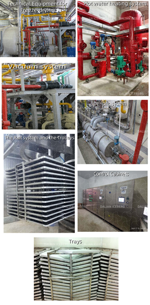 Tray batch freeze-drying equipment Tray batch freeze-drying equipment