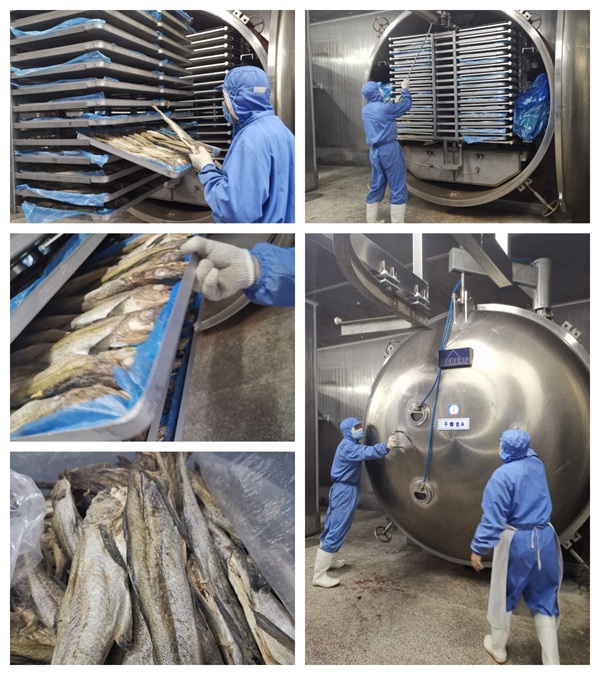 Fish freeze dryer Fish freeze dryer