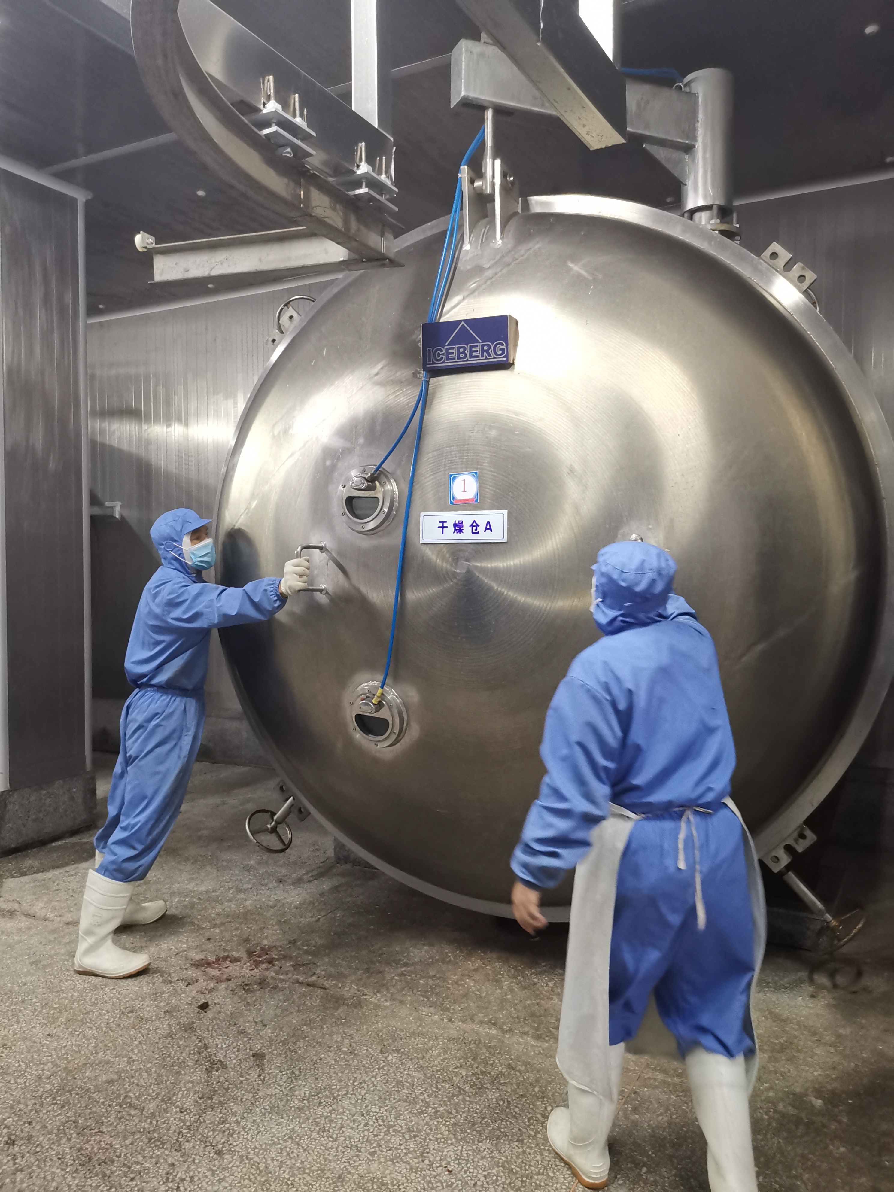 Fish Batch Vavuum Freeze Dryer