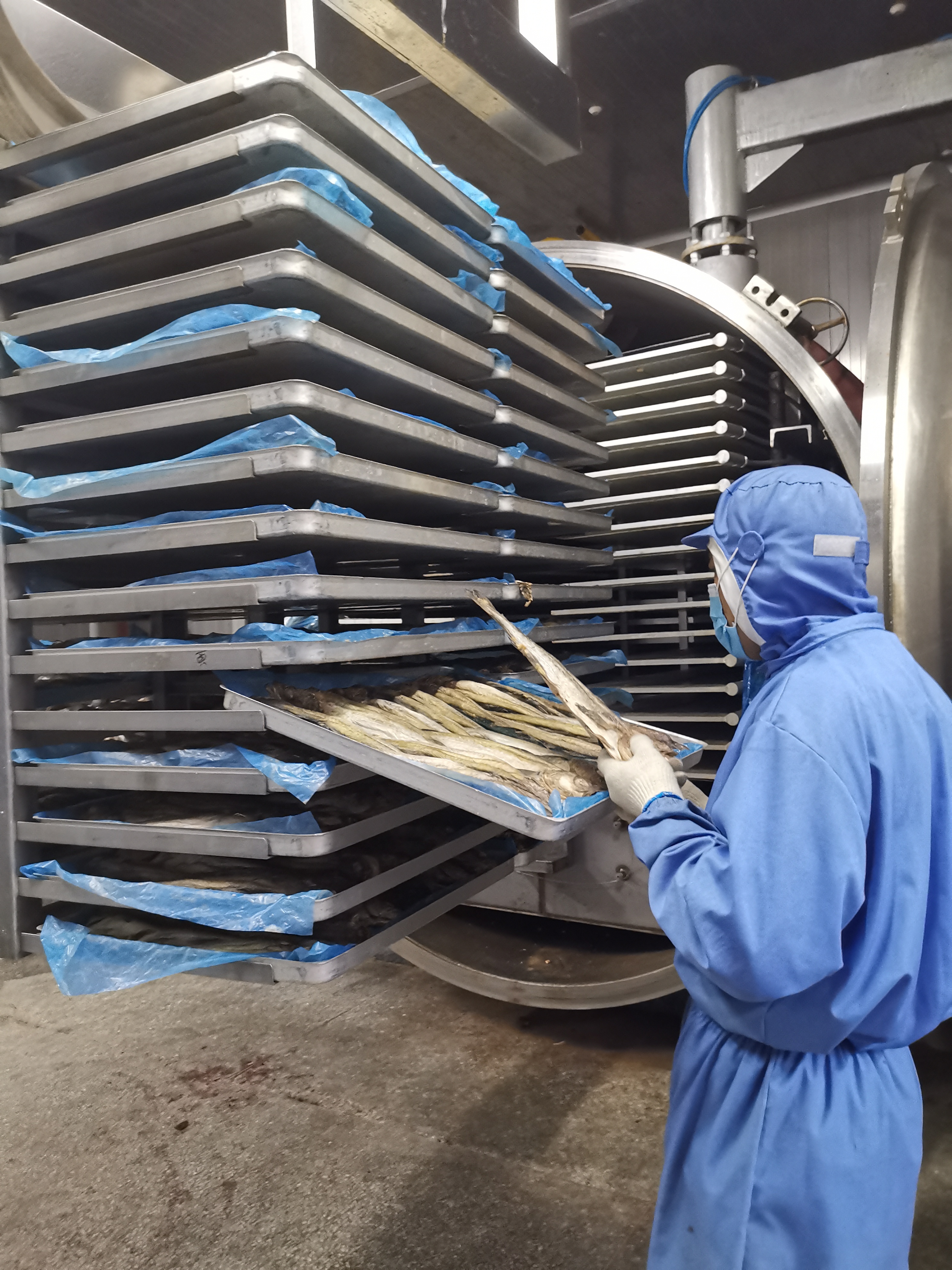 Fish Batch Vavuum Freeze Dryer