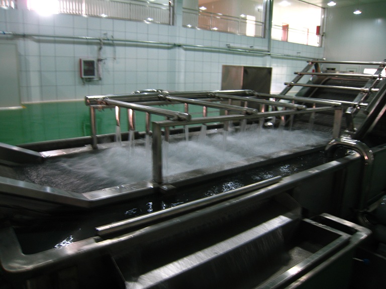 BQ Series Vegetable Pretreatment Production Line