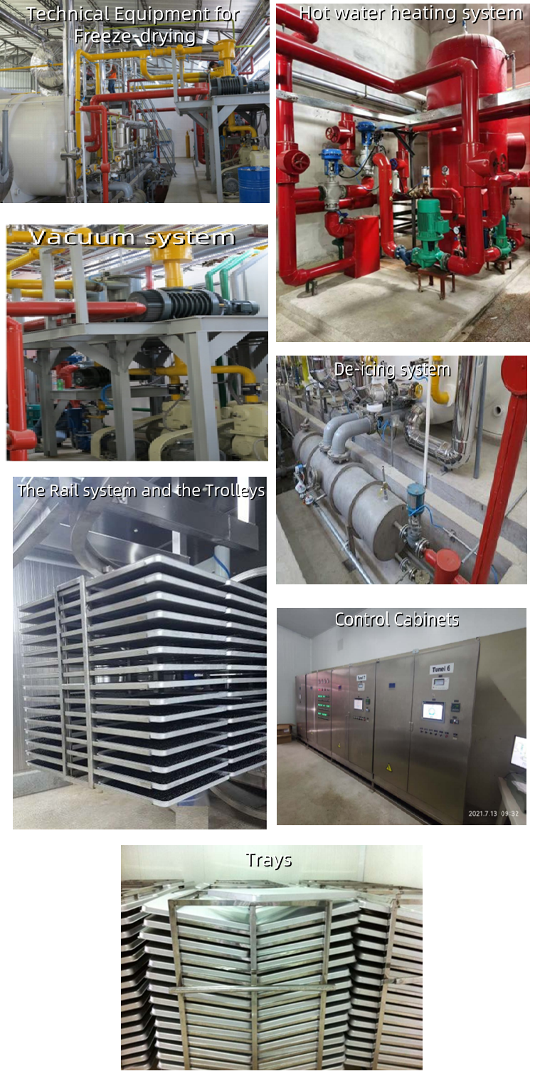 Large meat vacuum dryer Large meat vacuum dryer