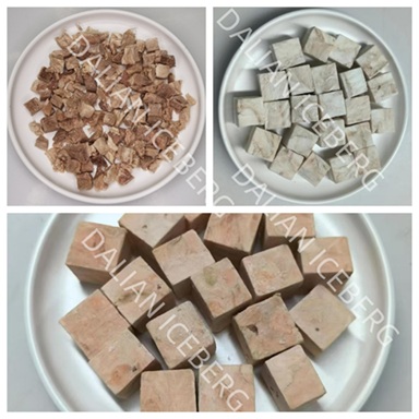 Food vacuum freeze dryer Food vacuum freeze dryer