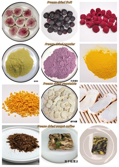 5㎡ small freeze dryer 5㎡ small freeze dryer