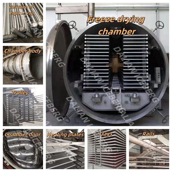 100㎡ vacuum lyophilizer 100㎡ vacuum lyophilizer