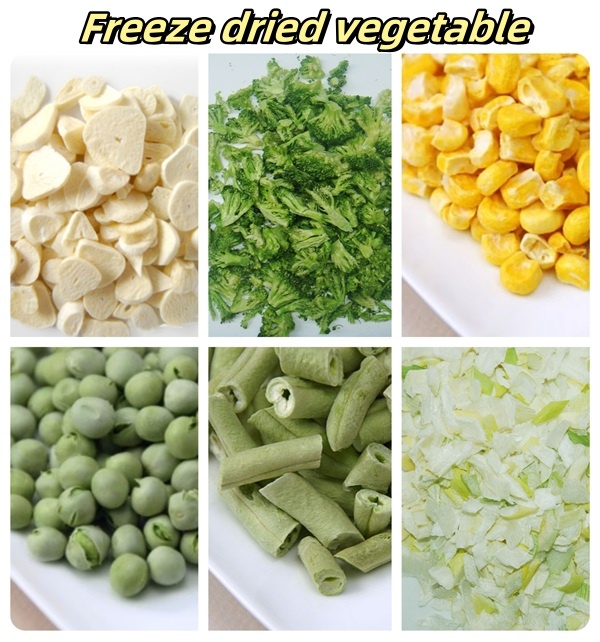 Large vacuum lyophilizer Large vacuum lyophilizer