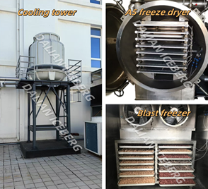 Laboratory Freeze Dryer