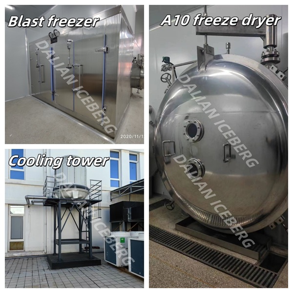 Laboratory Freeze Dryer