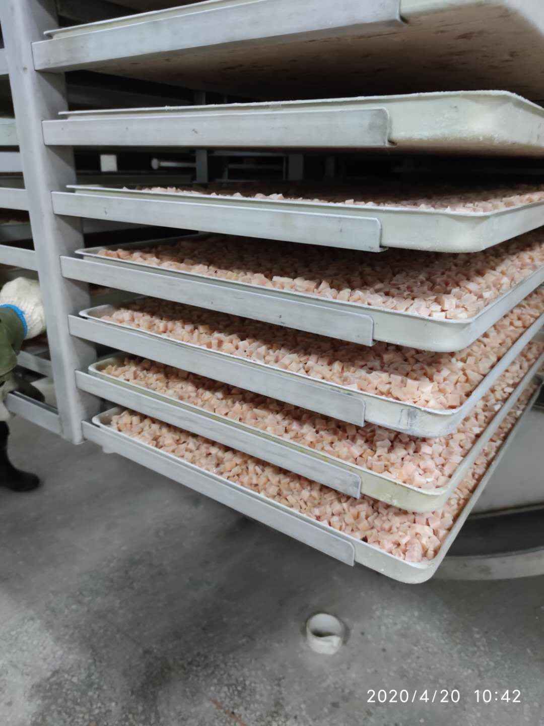 Batch Pet Food lyophilizer