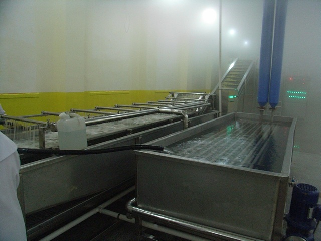 BQ Series Vegetable Pretreatment Production Line