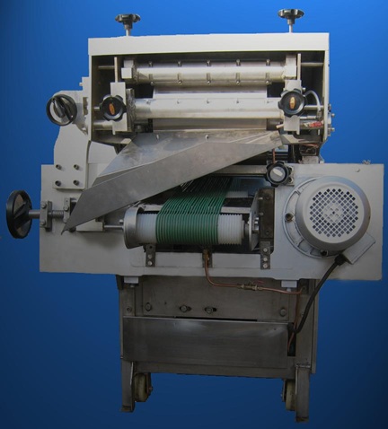 Fishsking Removing Machine