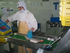 Fishsking Removing Machine